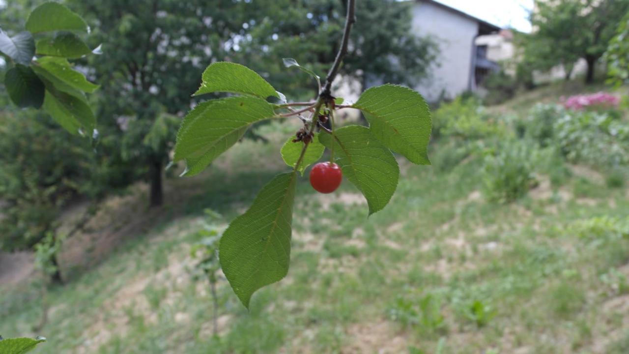 Bed and Breakfast Cit Ni Bosia Zewnętrze zdjęcie